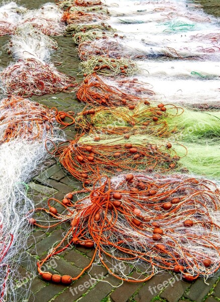 Fish Fishing Nets Urk Free Photos