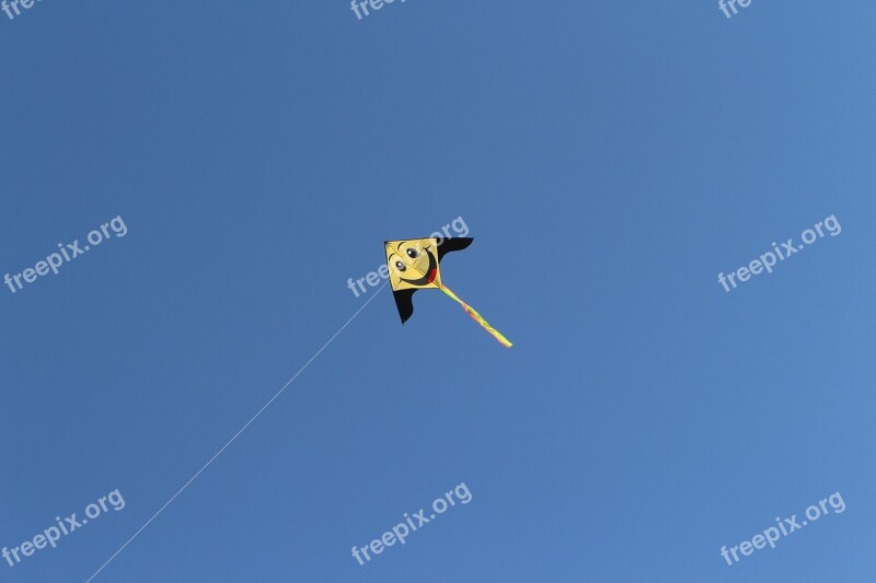 Sky Kite Flying Dragon Game Fun