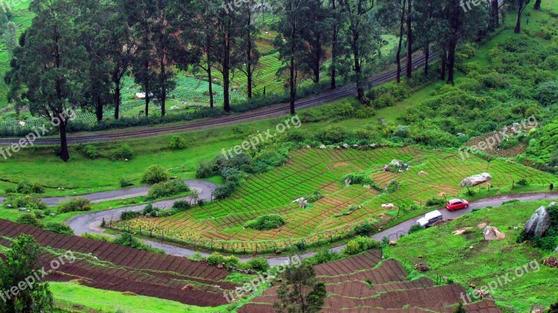 Ooty Green Mountain Nature Railway