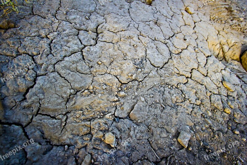 Dry Summer Nature Environment Dried