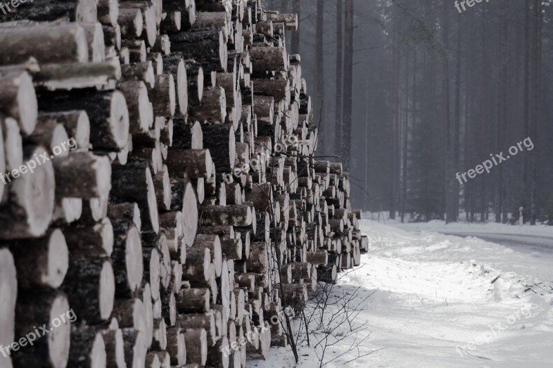 Winter Snow Logs Wood Tree