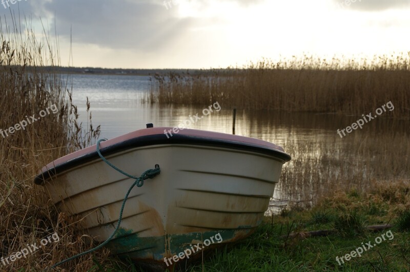 Rowing Boat Lake Landscape Abendstimmung Denmark