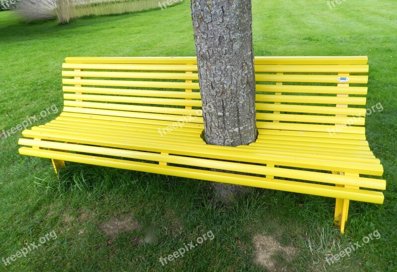 Bench Nature Art Contemporary Trees