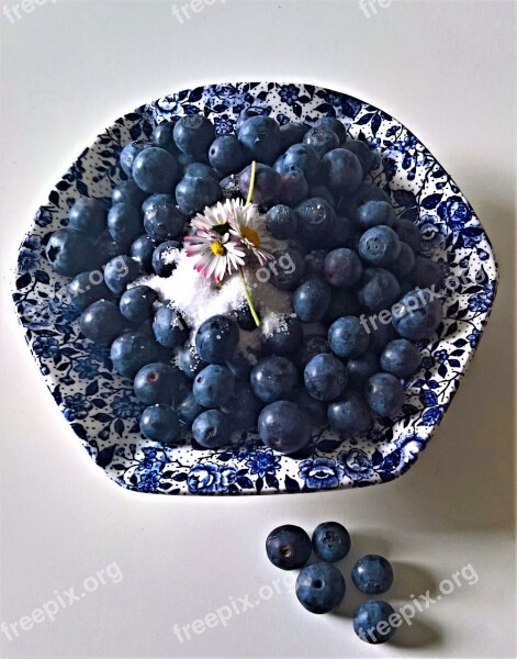 Blueberries Bickbeeren Vaccinium Blueberry Soft Fruit