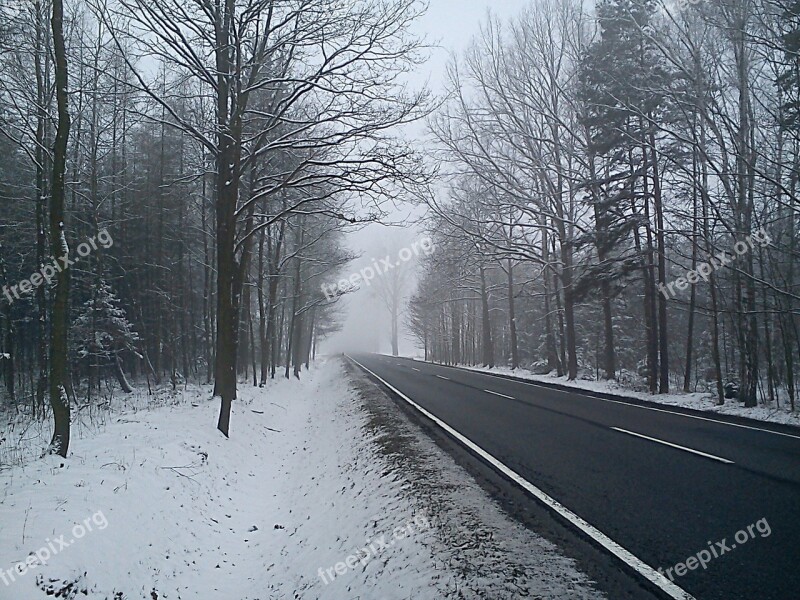 Winter Way Snow Tree Landscape