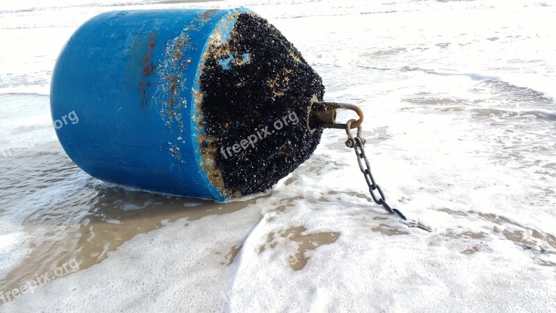 Buoy Beacon Sea Beach Mussels