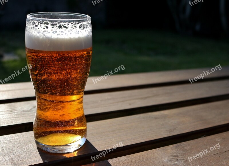 Ale Beer Glass Alcohol Drink