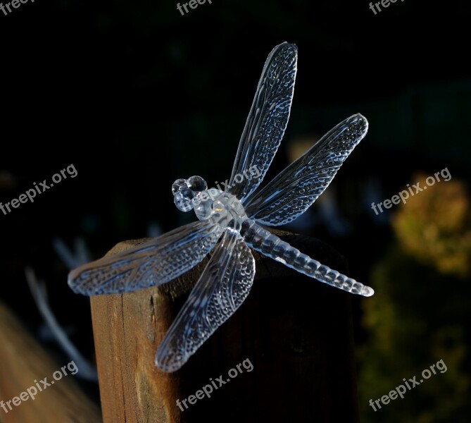 Dragon Fly Solar Light Garden Plastic Solar