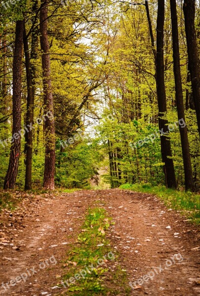 Hike May Hike 1 May Landscape