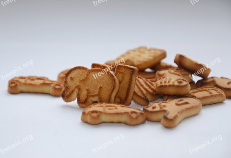 Cookies Elephant Breakfast For Children Children