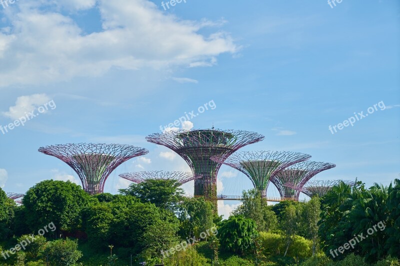 Singapore Asian Park Garden Nature