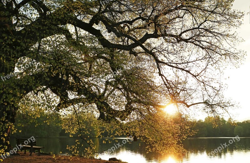 Sunset Lake Park Abendstimmung Nature