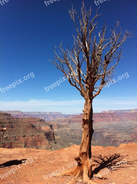 Tree Canyon Grand Rock Desert