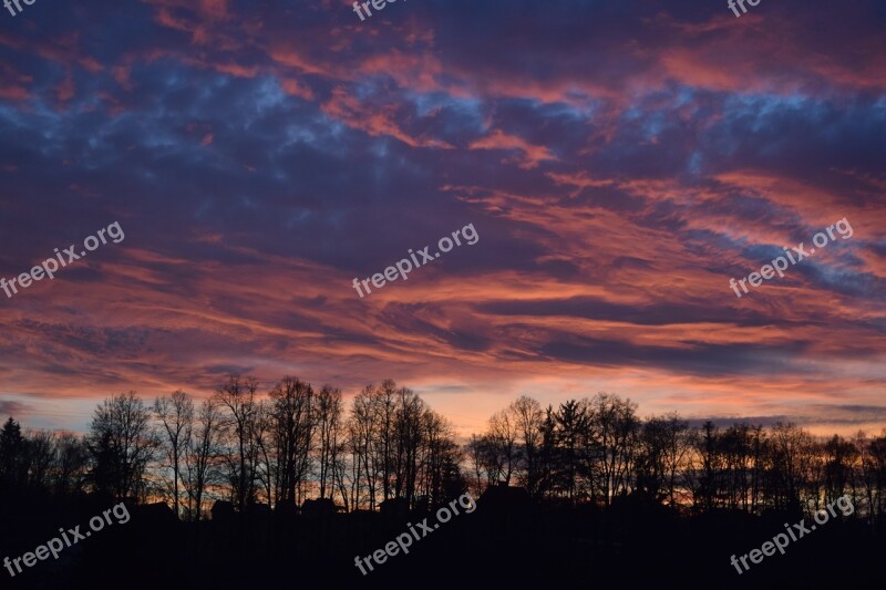 Pink Dimension Forest Sky Sunset