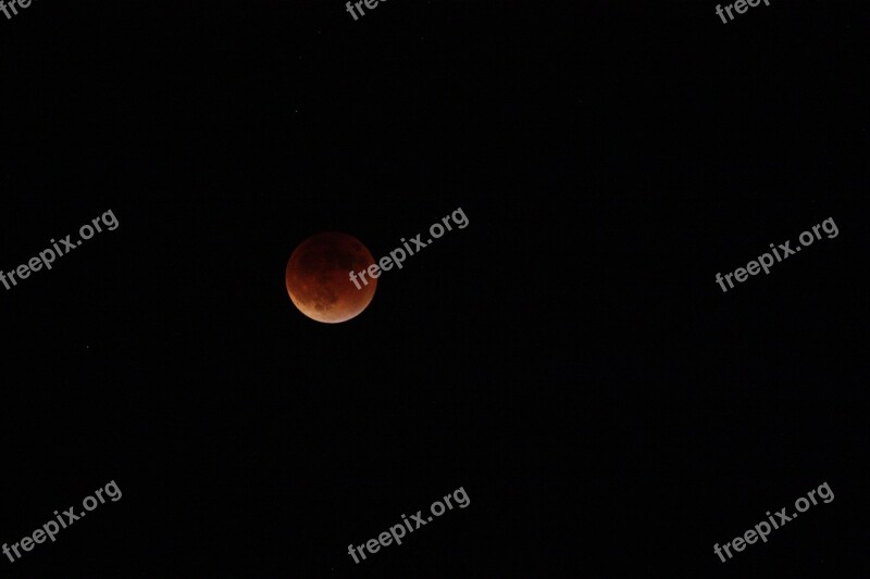 Blood Moon Moon Night Sky Free Photos