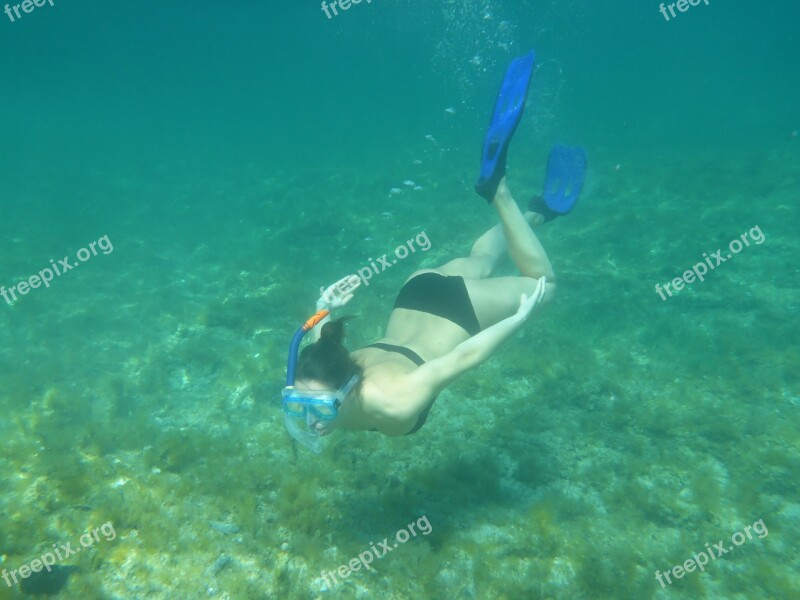 Diving Snorkeling Nature Water Sea