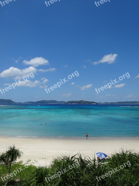 Sea Beach Blue Sky South Island Free Photos