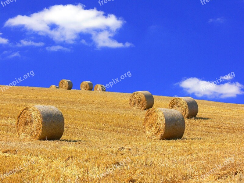 Straw Bales Straw Harvested Stubble Summer