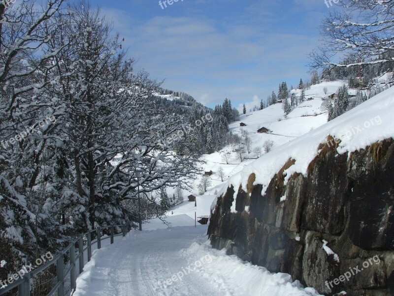 Wengen Path Alps Switzerland Winter