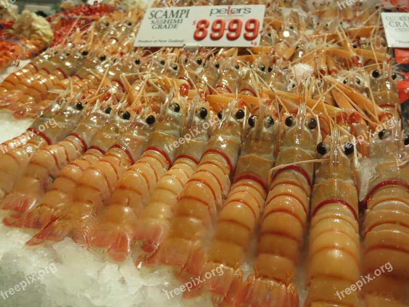 Shrimp Prawn Raw Food Seafood