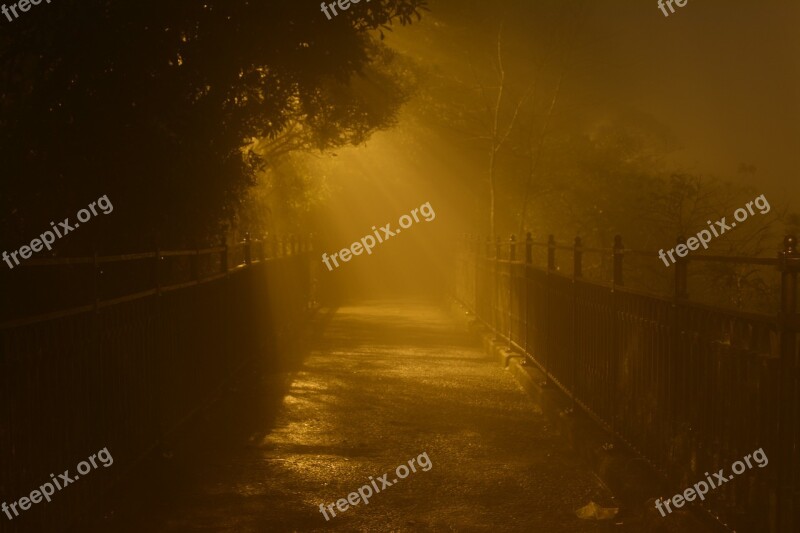 Night Hong Kong Light Foggy Victoria