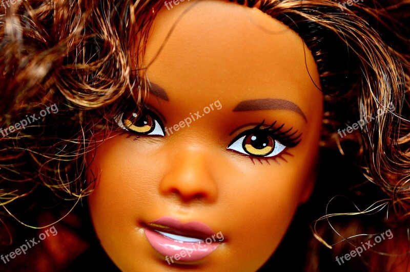 Barbie Doll Head Girls Toys Toys