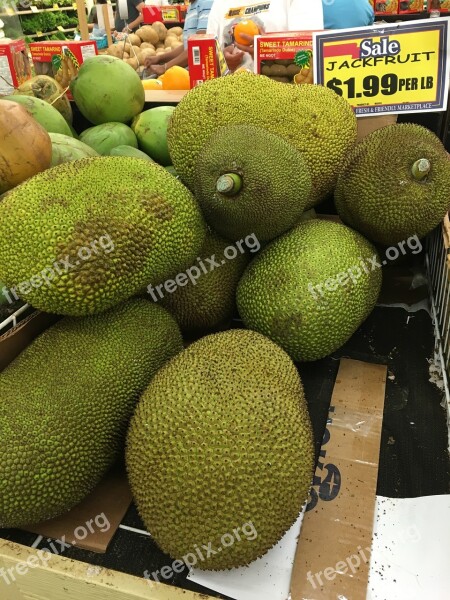 Jackfruit Vegetable Market Fresh Sweet