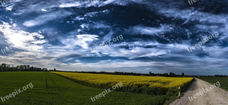 Panorama Field Of Rapeseeds Clouds Sky Landscape