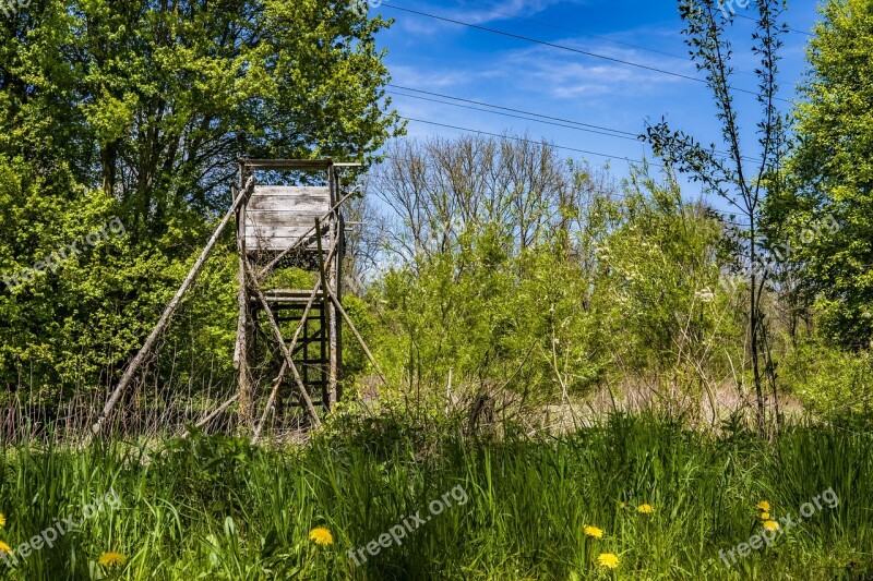 Hunter Was Green Meadow Sky Blue