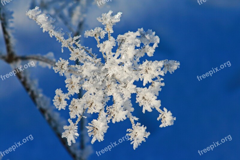 Blue Sky Hoarfrost Blue Snow Sky