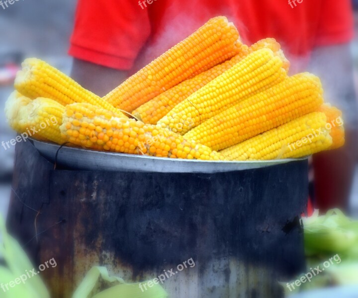 Corn Traditional Sweet Vegetable Yellow