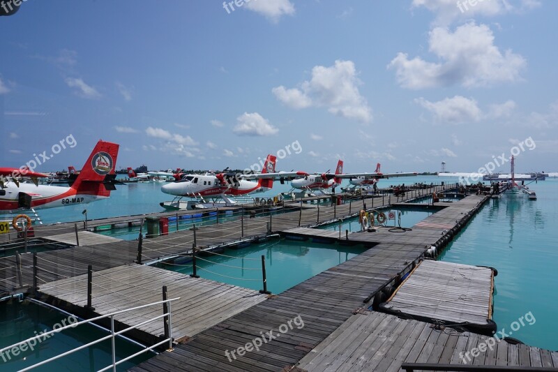 Seaplanes Like Taxis Free Photos