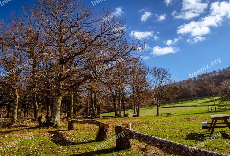 Landscape Trees Nature Mountain Prato