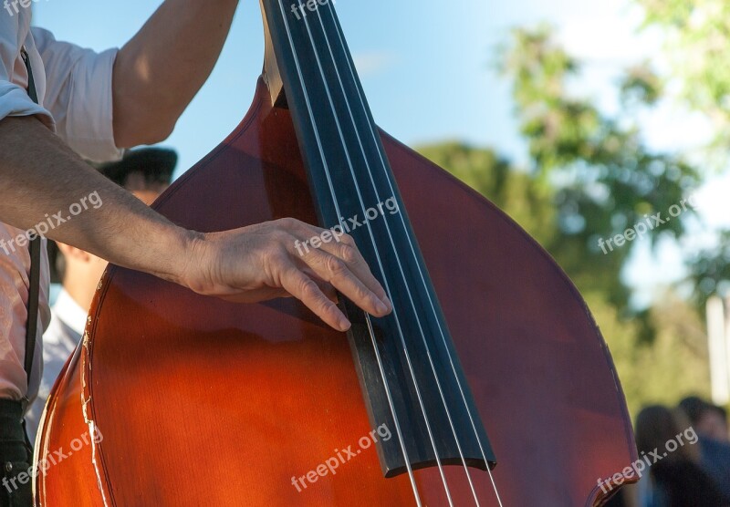 Double Bass Musician Music Strings Orchestra