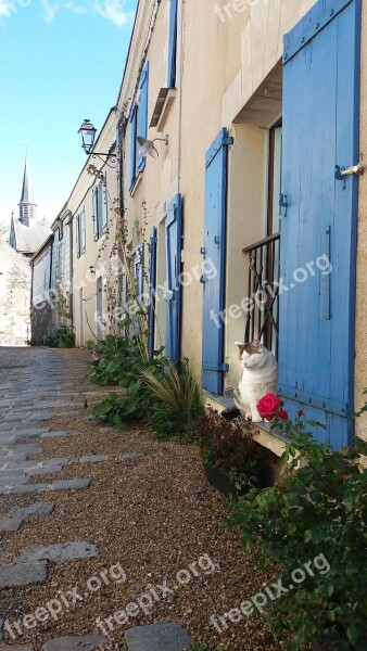 France Cat Blue Door Free Photos