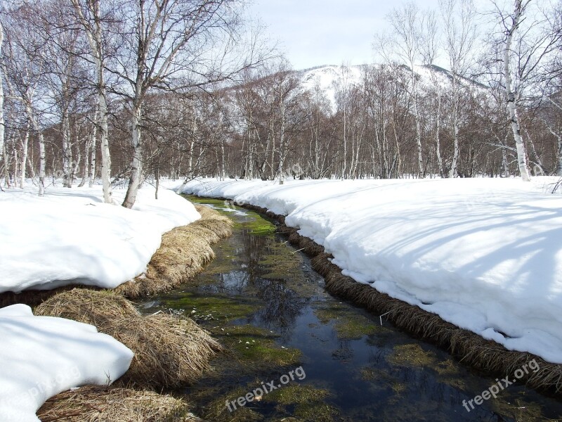 Spring The Melting Of The Snow Puddles Heat Forest