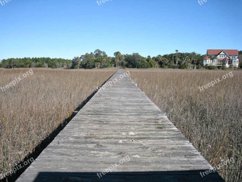 Boardwalk Walkway Wooden Landscape Nature