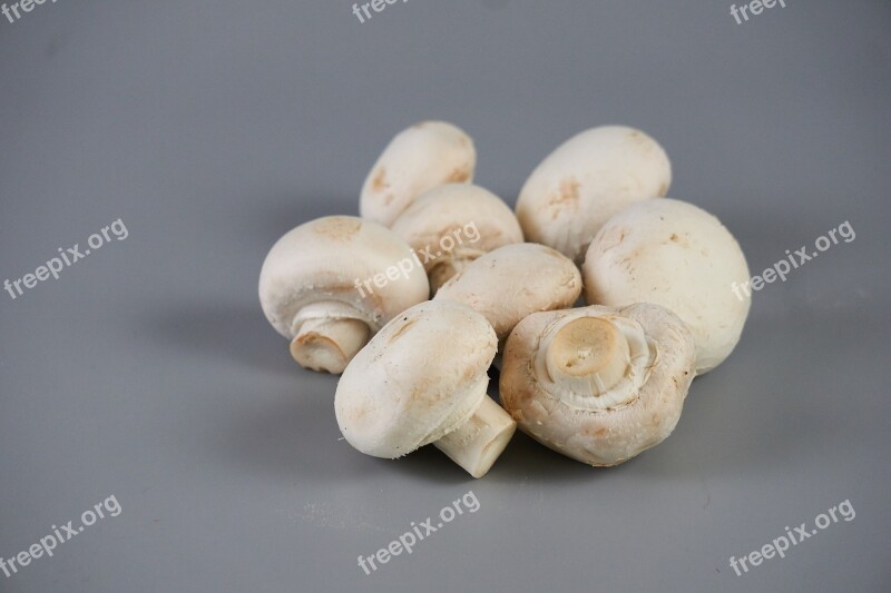 Paris Mushrooms Mycology Edible Mushrooms Flavor Power