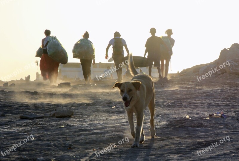 Beachcleaning Garbage Collector Garbage Collect Garbage Bags