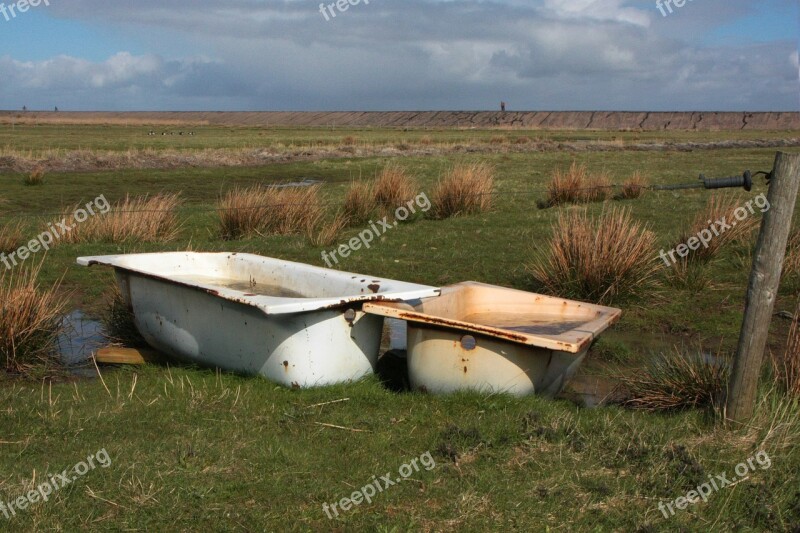 Amrum North Sea Bird Bath Sheep Potions Nesting Sites