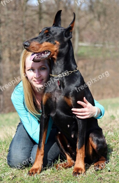 Doberman Dog Blonde Woman Love Free Photos