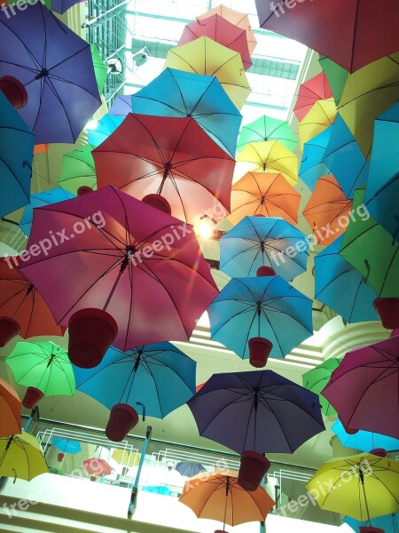 Umbrella Hang Pots Colourful Decorate