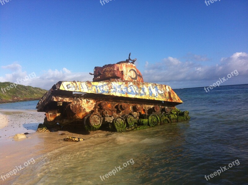 Tank Beach Puerto Rico Snake Caribbean Sea