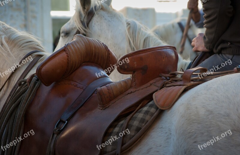 Saddle Camargue Jumper Gardian Horses