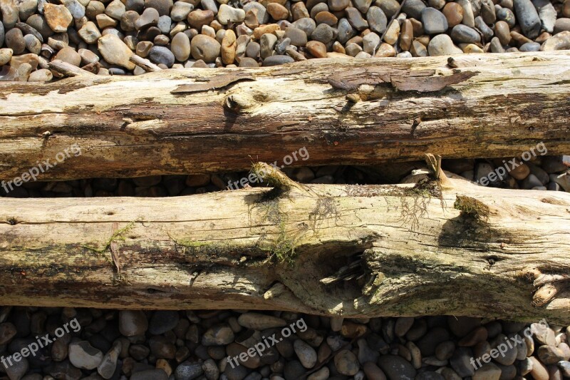 Logs Moss Wood Tree Old