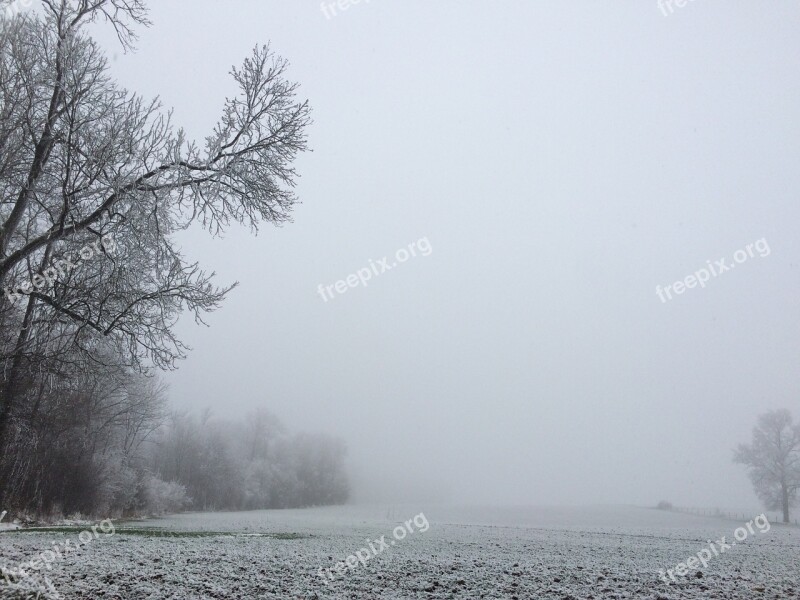 Snow Winter Landscape Trees Frosted Free Photos