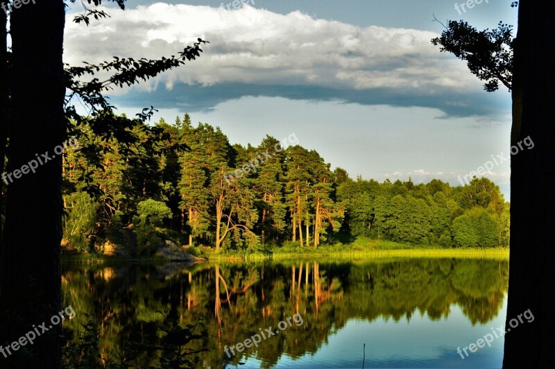 Forest Water Lake Mirroring Summer