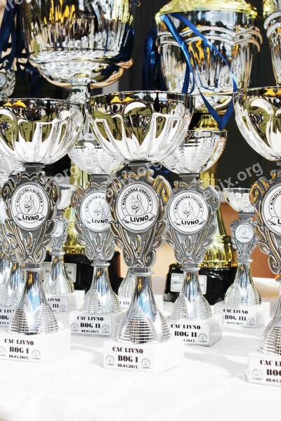 Dog Show Winners Trophies Award Exhibition