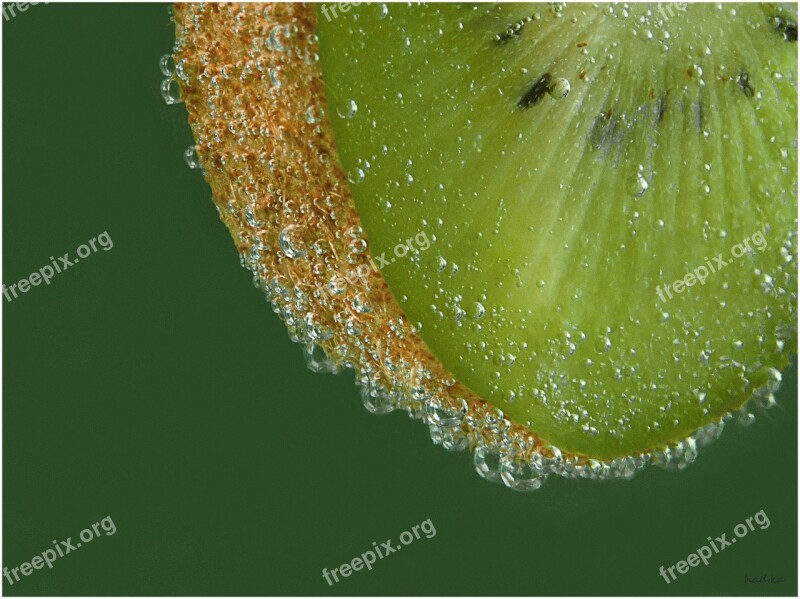 Macro Kiwi Green Free Photos