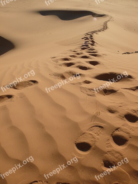 Algeria Desert Traces Free Photos